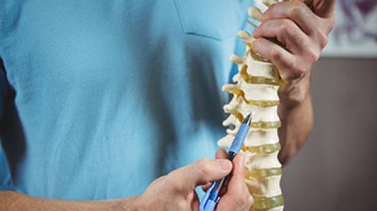 Heilpraktik der Physiotherapie